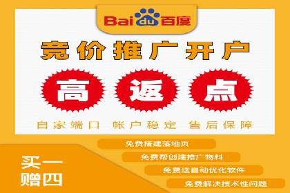 落地页在SEM优化中的重要性及成功案例